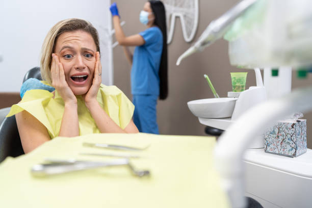 Best Emergency Dental Services for Seniors in Campton Hls, IL